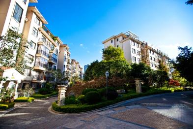 1576512453830_394X262_2